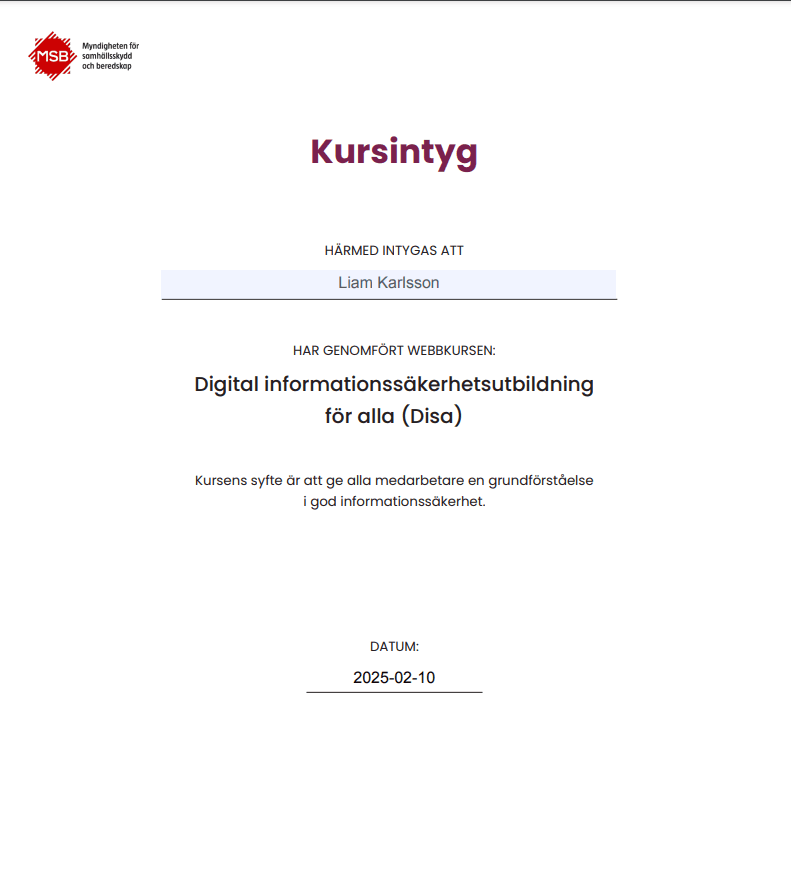 Digital informationssäkerhetsutbildning för alla (Disa)
